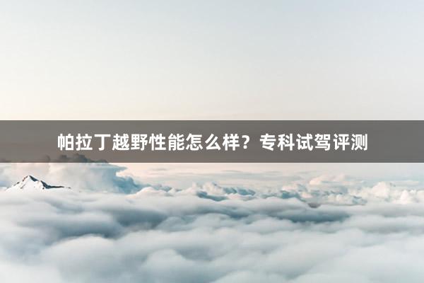 帕拉丁越野性能怎么样？专科试驾评测